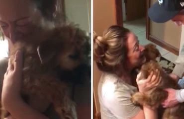 Mujer recibe 2 cachorros