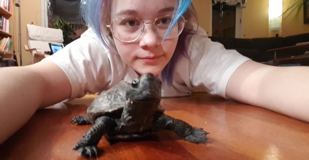 Nisse, la inseparable tortuga que ha permanecido 10 años con su dueña… Y cree que es un perro Nisse, la inseparable tortuga que ha permanecido 10 años con su dueña… Y cree que es un perro