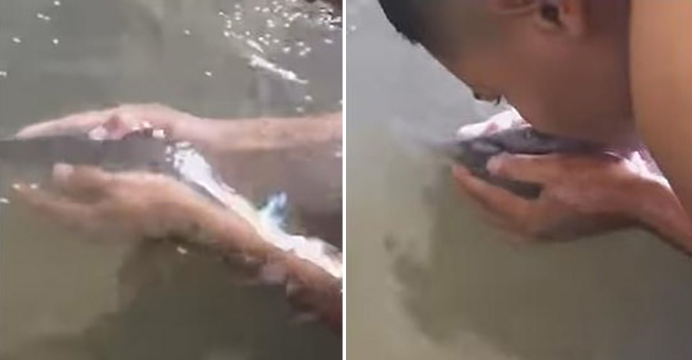 Un joven se niega a comerse un pez porque asegura que es su mejor amigo