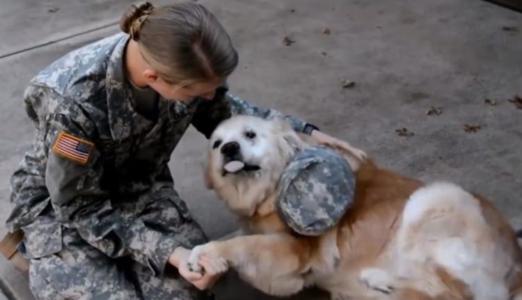 Soldado y su perro