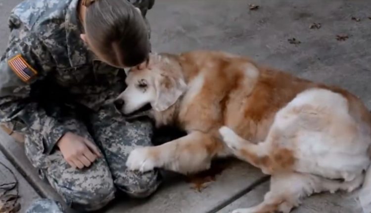 Soldado y su perro