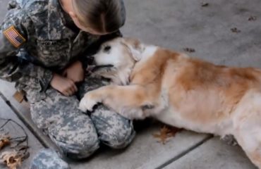 Soldado y su perro