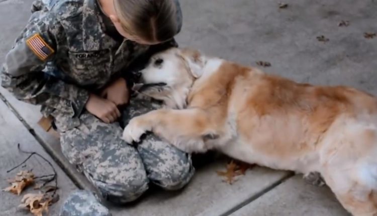 Soldado y su perro