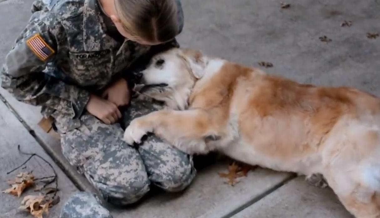 El emocionante reencuentro de un perrito anciano con su dueña soldado tras meses de separación El emocionante reencuentro de un perrito anciano con su dueña soldado tras meses de separación