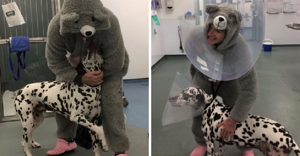 Un veterinario se disfraza de ratón para ayudar a un perrito con problemas de ansiedad