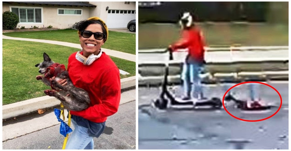 Una mujer arrastra a su perro atado al patinete que conducía a alta velocidad Una mujer arrastra a su perro atado al patinete que conducía a alta velocidad