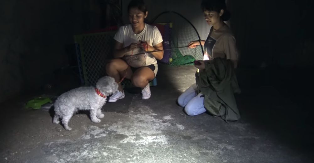Rescatan a un perro callejero y descubren que compartía el escondite con un hombre sin hogar Rescatan a un perro callejero y descubren que compartía el escondite con un hombre sin hogar