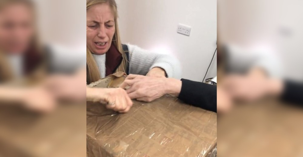 Se oían débiles maullidos de socorro de una caja totalmente sellada pero llegaron justo a tiempo Se oían débiles maullidos de socorro de una caja totalmente sellada pero llegaron justo a tiempo