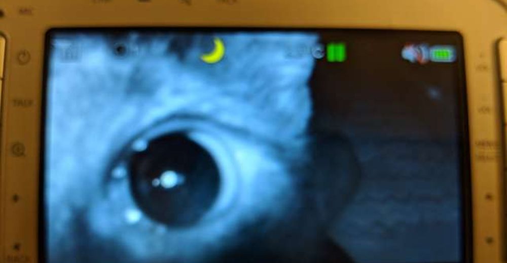 Una madre revisa el monitor de su bebé y descubre que está perfectamente vigilada Una madre revisa el monitor de su bebé y descubre que está perfectamente vigilada