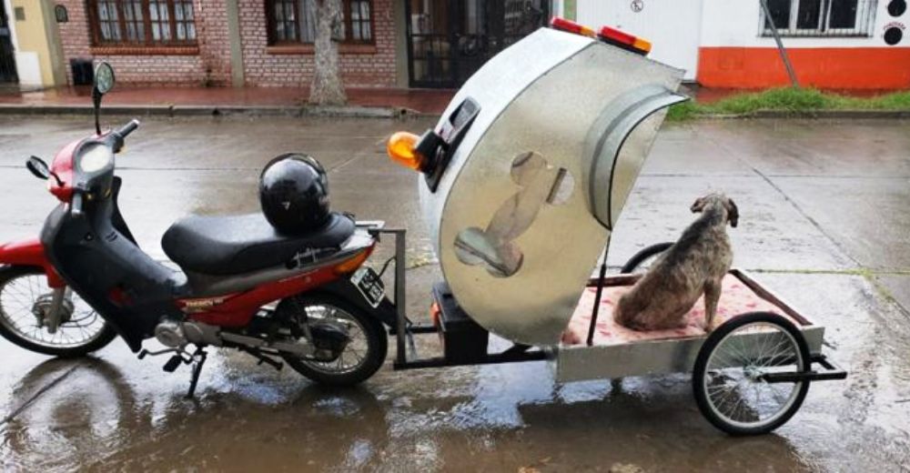 La primera moto-ambulancia canina gratuita ya salvó la vida de un perro callejero La primera moto-ambulancia canina gratuita ya salvó la vida de un perro callejero