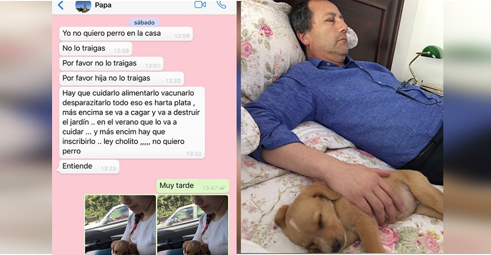 El radical cambio de un padre que se negaba rotundamente a tener un perro en casa El radical cambio de un padre que se negaba rotundamente a tener un perro en casa