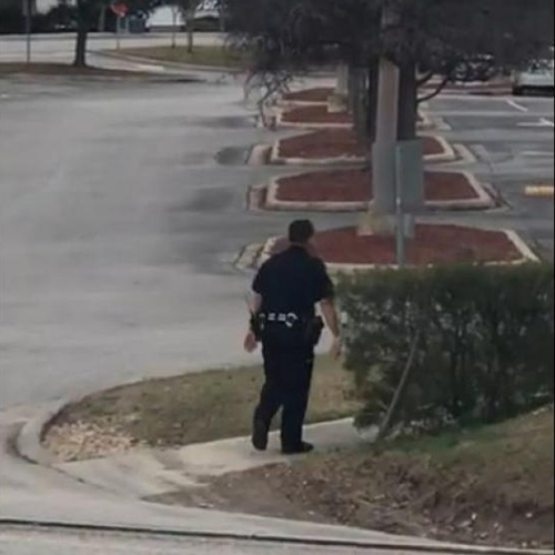 Policía ayuda a patos