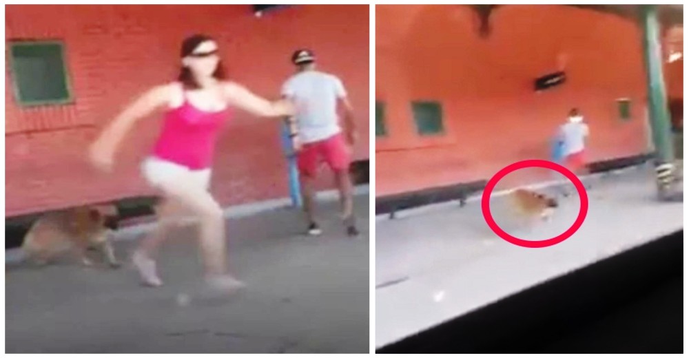 Una mujer sube corriendo al tren mientras deja atrás a su perro en la estación Una mujer sube corriendo al tren mientras deja atrás a su perro en la estación