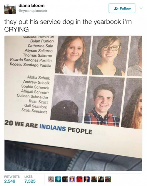 Alpha perro anuario escolar