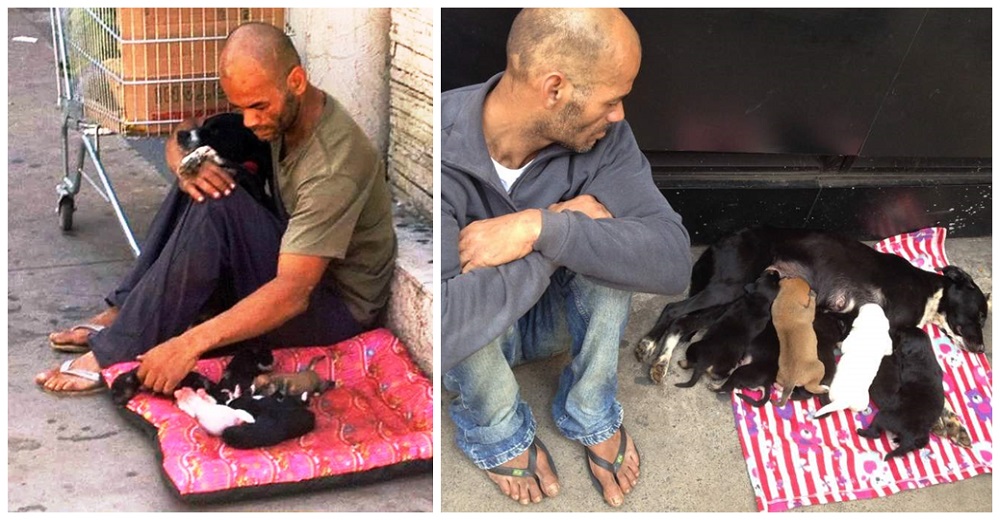 Vende lo poco que tenía para salvar la vida de su perrita y sus 7 cachorros, y se hace viral Vende lo poco que tenía para salvar la vida de su perrita y sus 7 cachorros, y se hace viral