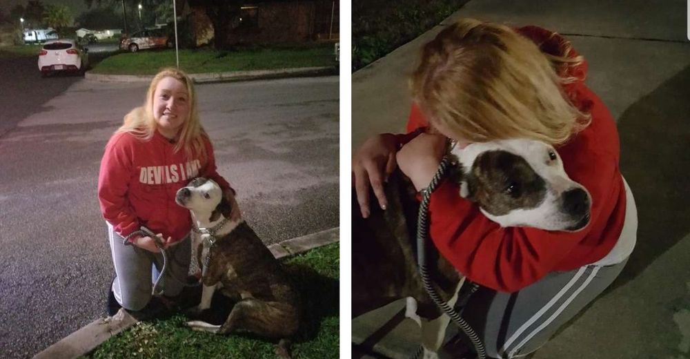 Después de 8 años esta perrita logra reunirse con su dueño que nunca dejó de buscarla Después de 8 años esta perrita logra reunirse con su dueño que nunca dejó de buscarla