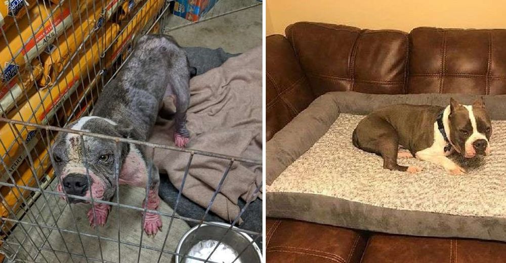 No soportaba ni un ruido fuerte tras su triste pasado pero encontró el amor que tanto necesitaba No soportaba ni un ruido fuerte tras su triste pasado pero encontró el amor que tanto necesitaba