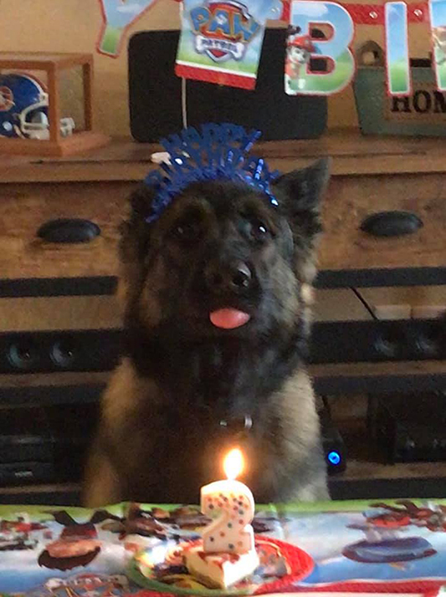 Miner K-9