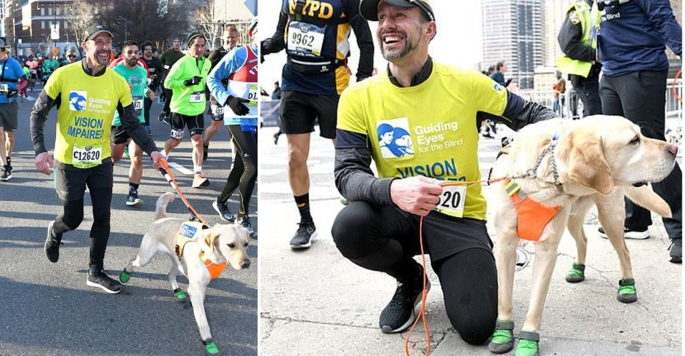 Deportista ciego corría una media maratón y 3 perritos guía intervienen de inmediato
