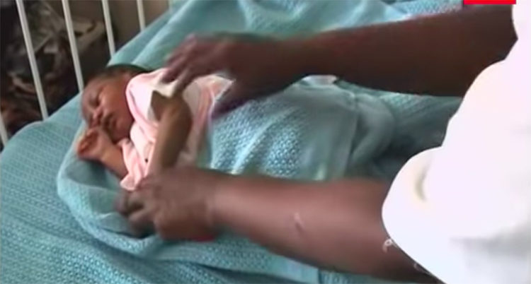 Perra salva bebe en Kenia
