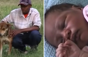 Perra salva bebe en Kenia
