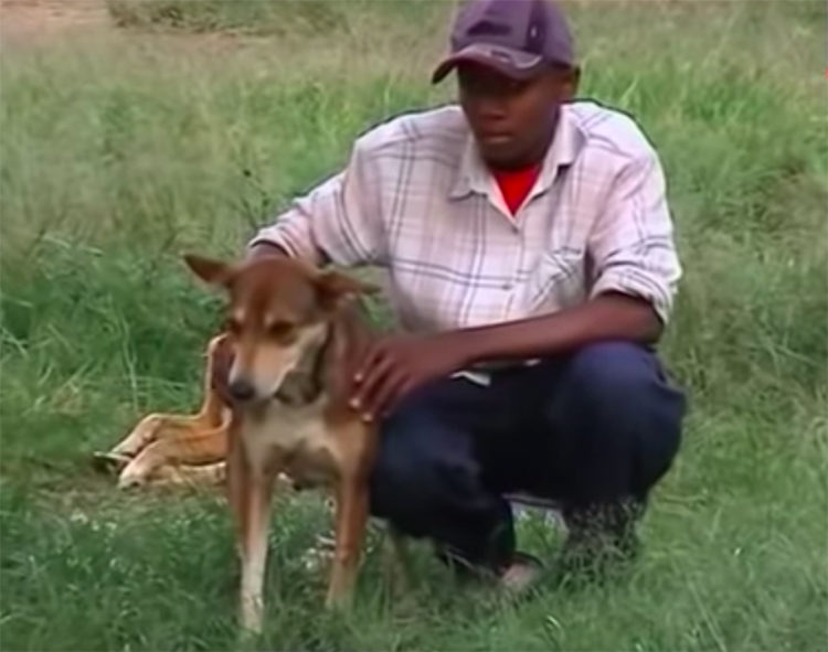 Perra salva bebe en Kenia