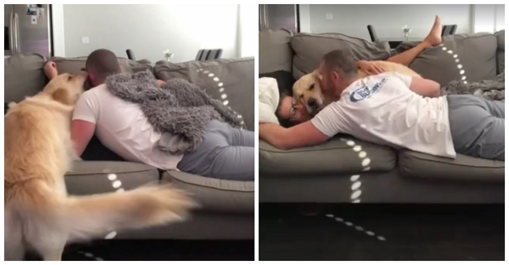 Ve que sus dueños se acurrucan cariñosamente y el perrito no concibe que se abracen sin él Ve que sus dueños se acurrucan cariñosamente y el perrito no concibe que se abracen sin él