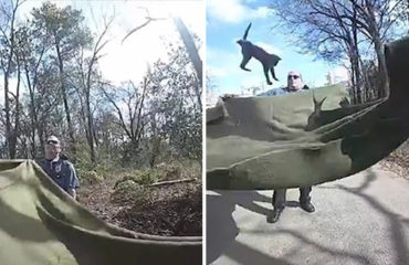 Trotti rescate gato Texas