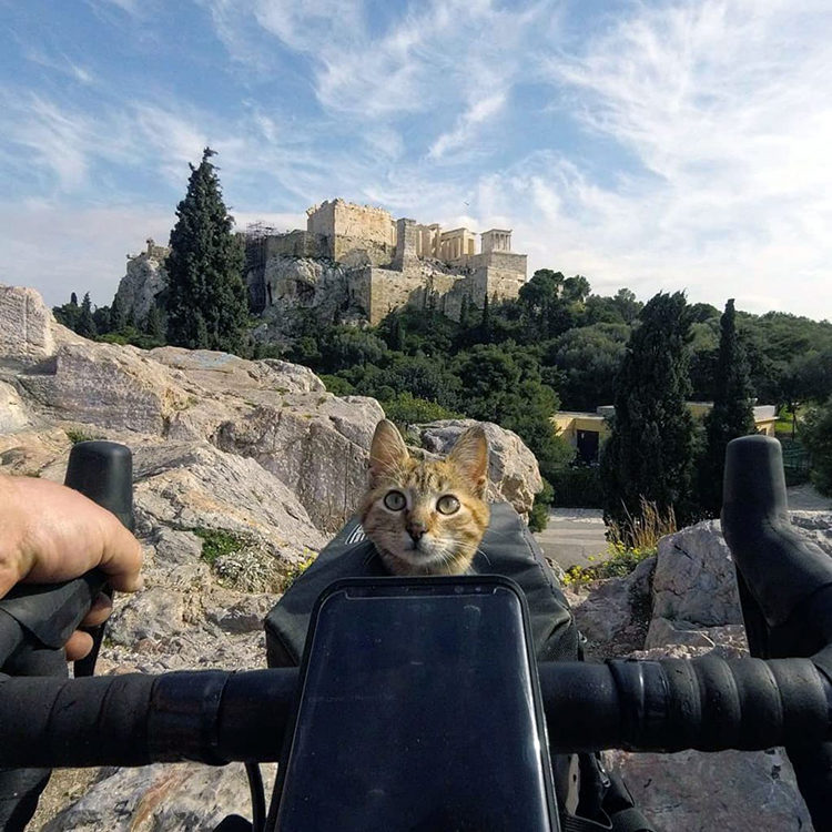 Dean y Nala recorren el mundo en bicicleta