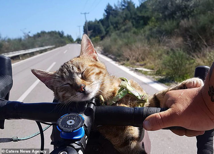 Dean y Nala recorren el mundo en bicicleta