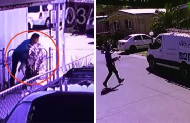 Empleado Spectrum roba un perro