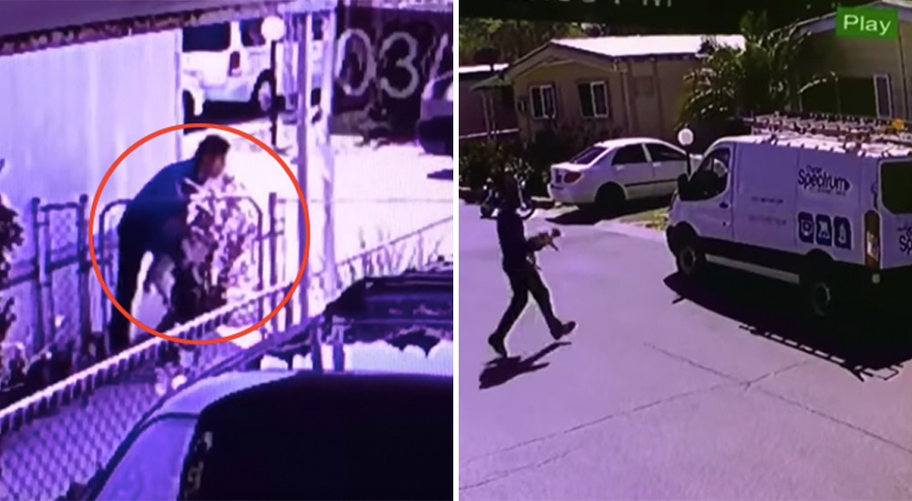 Cámaras de seguridad graban a un empleado de una empresa de cable robando el perro de la casa