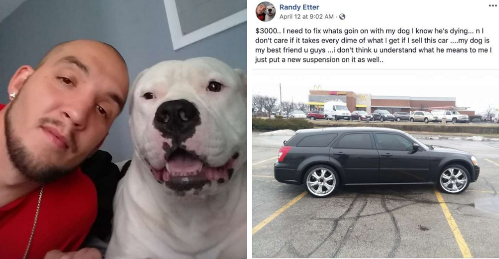 Un preocupado hombre pierde su trabajo y vende su auto para salvar la vida de su perrito Un preocupado hombre pierde su trabajo y vende su auto para salvar la vida de su perrito