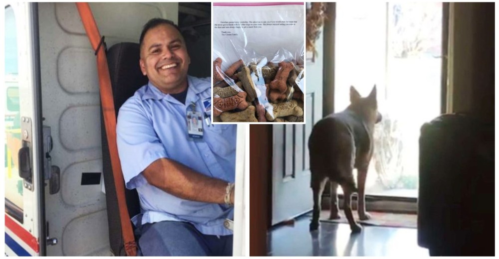 Cartero vive un adorable ritual con una perrita en su ruta– 6 años después sólo halló un mensaje