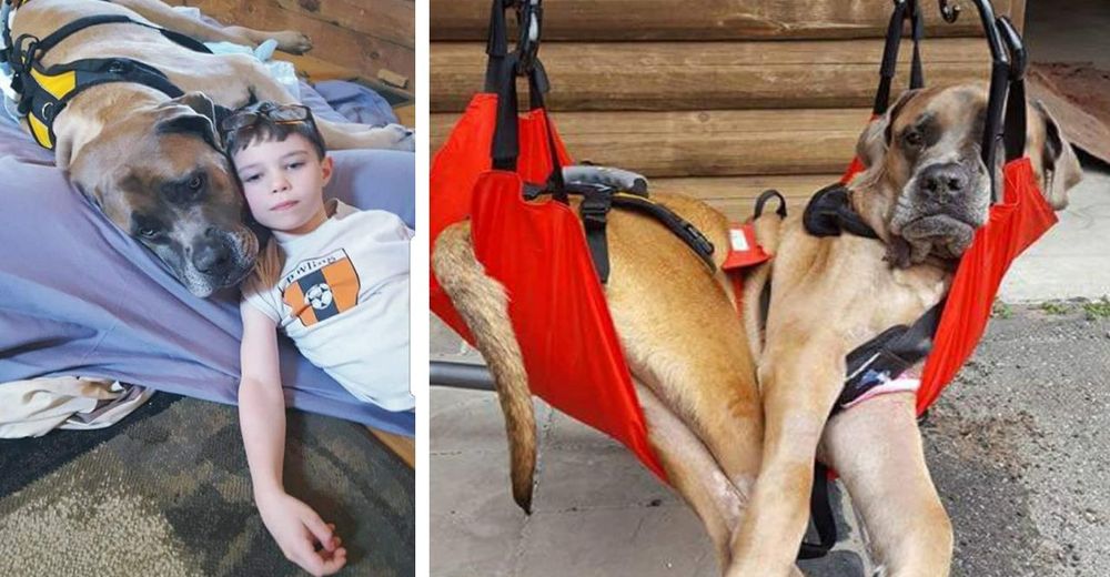 Parecía que jamás superaría su rara condición–Se obligó a caminar de nuevo por su niño favorito Parecía que jamás superaría su rara condición–Se obligó a caminar de nuevo por su niño favorito
