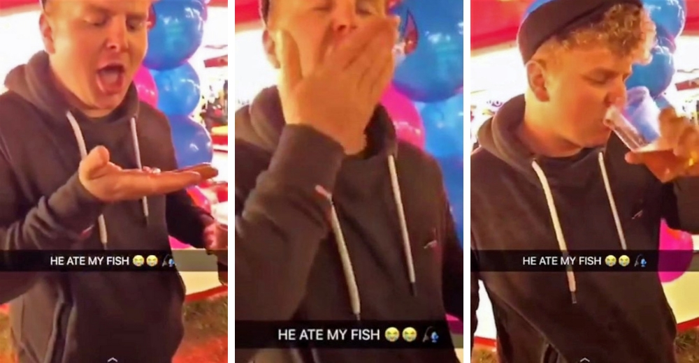 Un joven se come un pez dorado vivo en una transmisión en directo, pero recibe su castigo Un joven se come un pez dorado vivo en una transmisión en directo, pero recibe su castigo