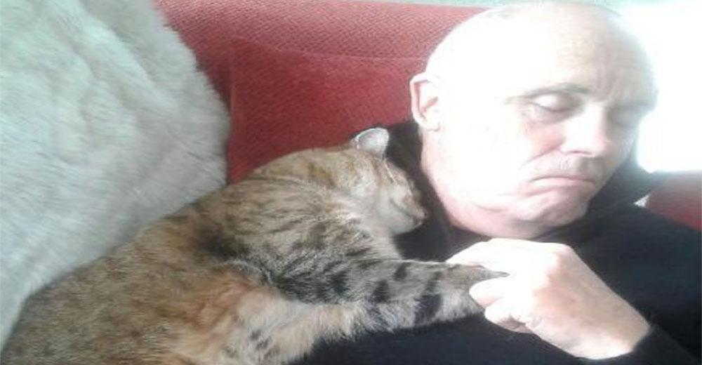 Un hombre se recupera tras una cirugía y despierta con un gatito desconocido cuidando de él