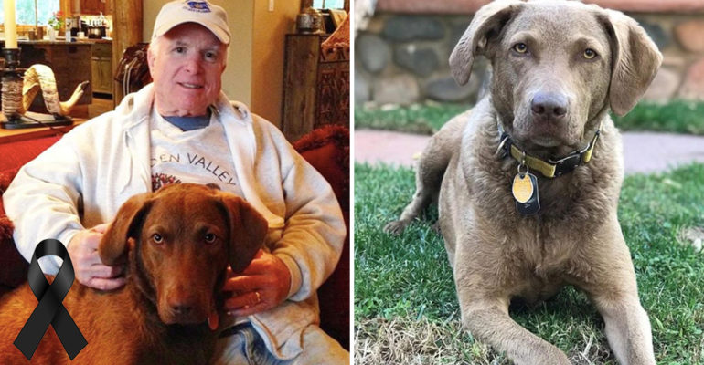 John McCain y Burma