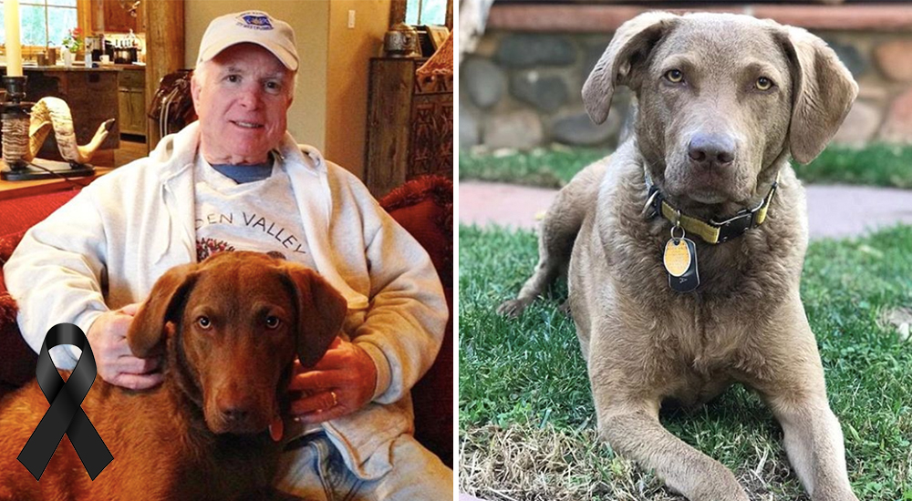 John McCain y Burma