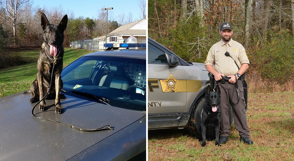Papás suplican ayuda para hallar a 2 niños antes del atardecer – Bane lo consigue en 15 minutos