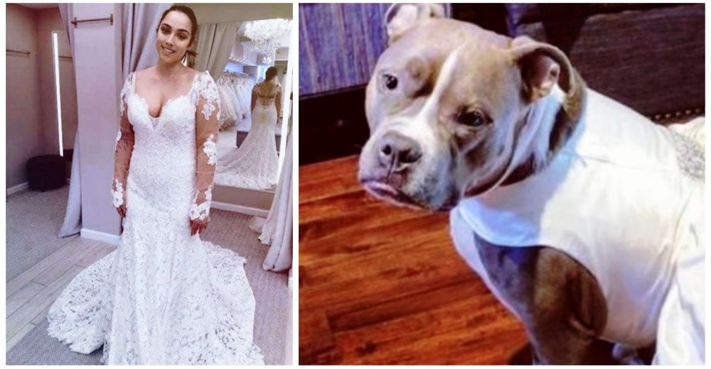 Compra dos vestidos de novia a juego para que su hija perruna la acompañe camino al altar