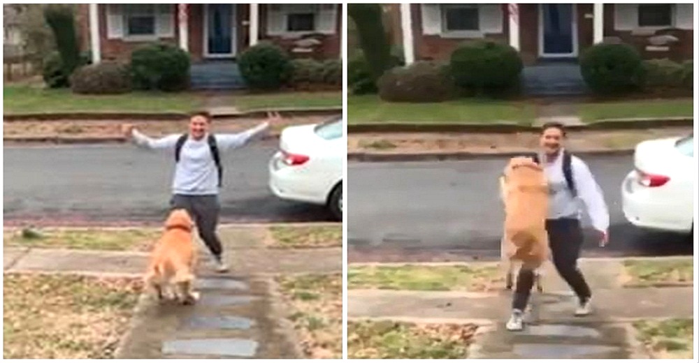 Adorable perrito se lanza como misil para recibir a su dueño y enternece a todos en las redes Adorable perrito se lanza como misil para recibir a su dueño y enternece a todos en las redes