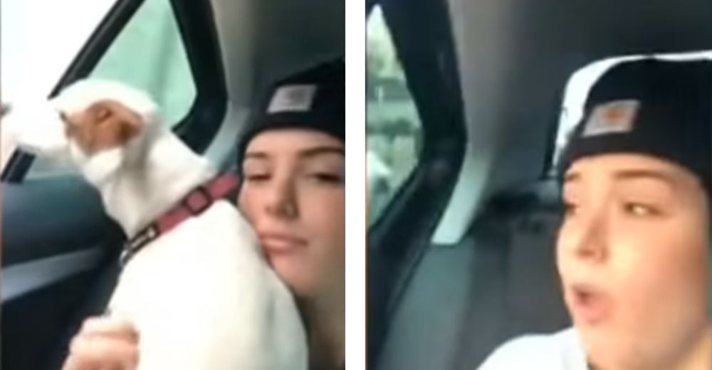 Parecía que sería un día de paseo tranquilo, pero su perrita saltó del auto a toda velocidad Parecía que sería un día de paseo tranquilo, pero su perrita saltó del auto a toda velocidad