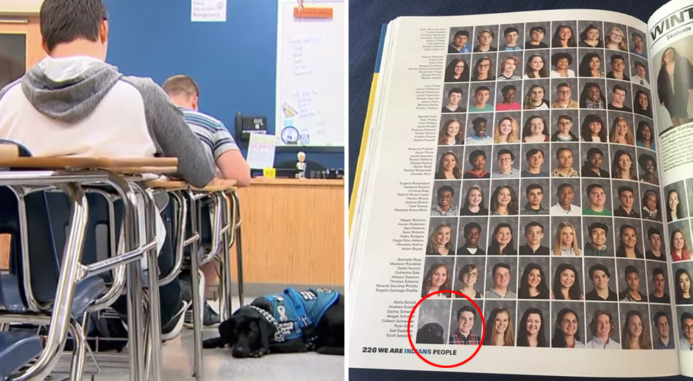 Un perrito de terapia acompaña a clases a su dueño enfermo y la escuela lo incluye en el anuario