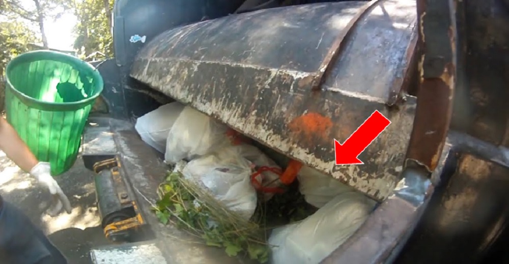 Comienzan a triturar la basura en su camión hasta que escuchan llantos desesperados en una bolsa Comienzan a triturar la basura en su camión hasta que escuchan llantos desesperados en una bolsa
