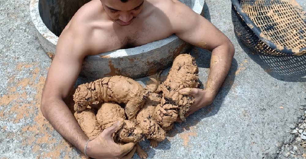 Escucha débiles gritos que venían de un pozo y corre a salvar a 5 pequeños repletos de barro