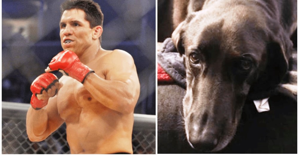 Un boxeador reconoce haber abandonado a la mascota familiar en el aeropuerto durante 5 días