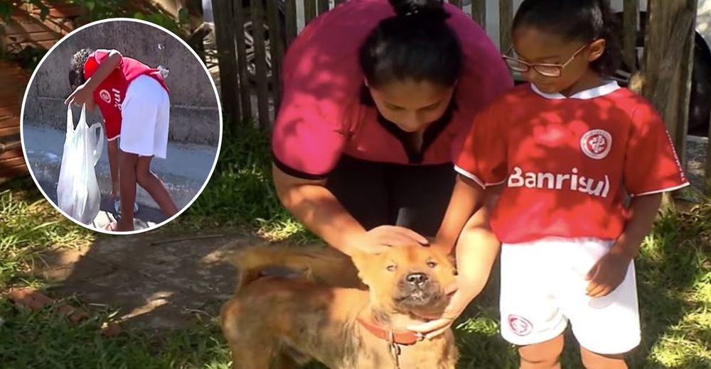 Isabel, la niña de 7 años que recoge latas y las vende para alimentar a perritos de la calle