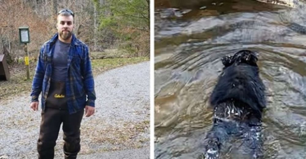 Un hombre pasa por alto las gélidas temperaturas de un río para salvar a un osito que se ahogaba