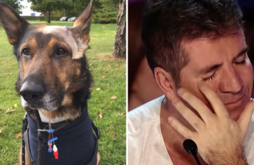 police-dog-finn